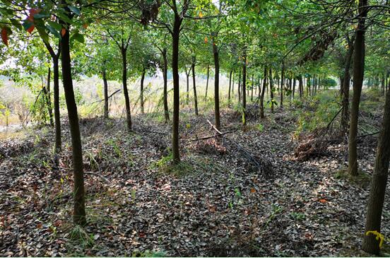 ���Ϸ���վ���¼��g(sh��)�a(ch��n)�I(y��)�_�l(f��)�^(q��)**���B(t��i)��(j��ng)���l(f��)չ���޹�˾�����ټ��w�����ϵķ��ݡ��C���O(sh��)�估��������Y�a(ch��n)�Ј��rֵ�u�����Ŀ����