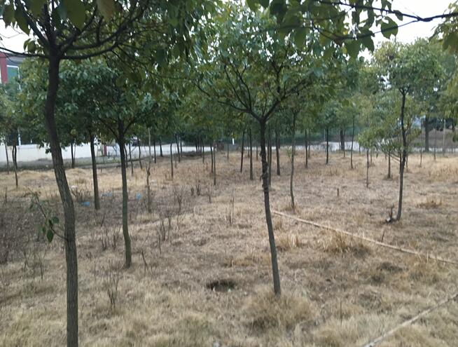 **���޹�˾���е�λ�ڮ�(d��ng)Ϳ�h**�(zh��n)���I(y��)�@���ڹ��I(y��)�õء����a(ch��n)���������C���a(ch��n)���o�C���a(ch��n)�����������ľ���k����Ʒ���O(sh��)�估ģ���Ј�(ch��ng)�r(ji��)ֵ�u(p��ng)��