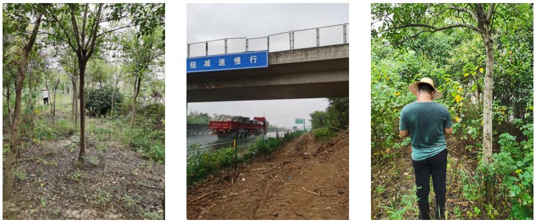 �Ϸ����L�S�h�����~���ٸĔU(ku��)�����̸����������a(b��)���r���u��